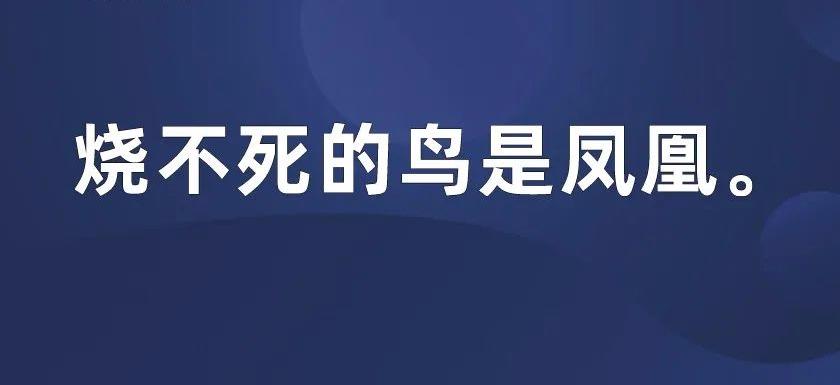 图片19.jpg